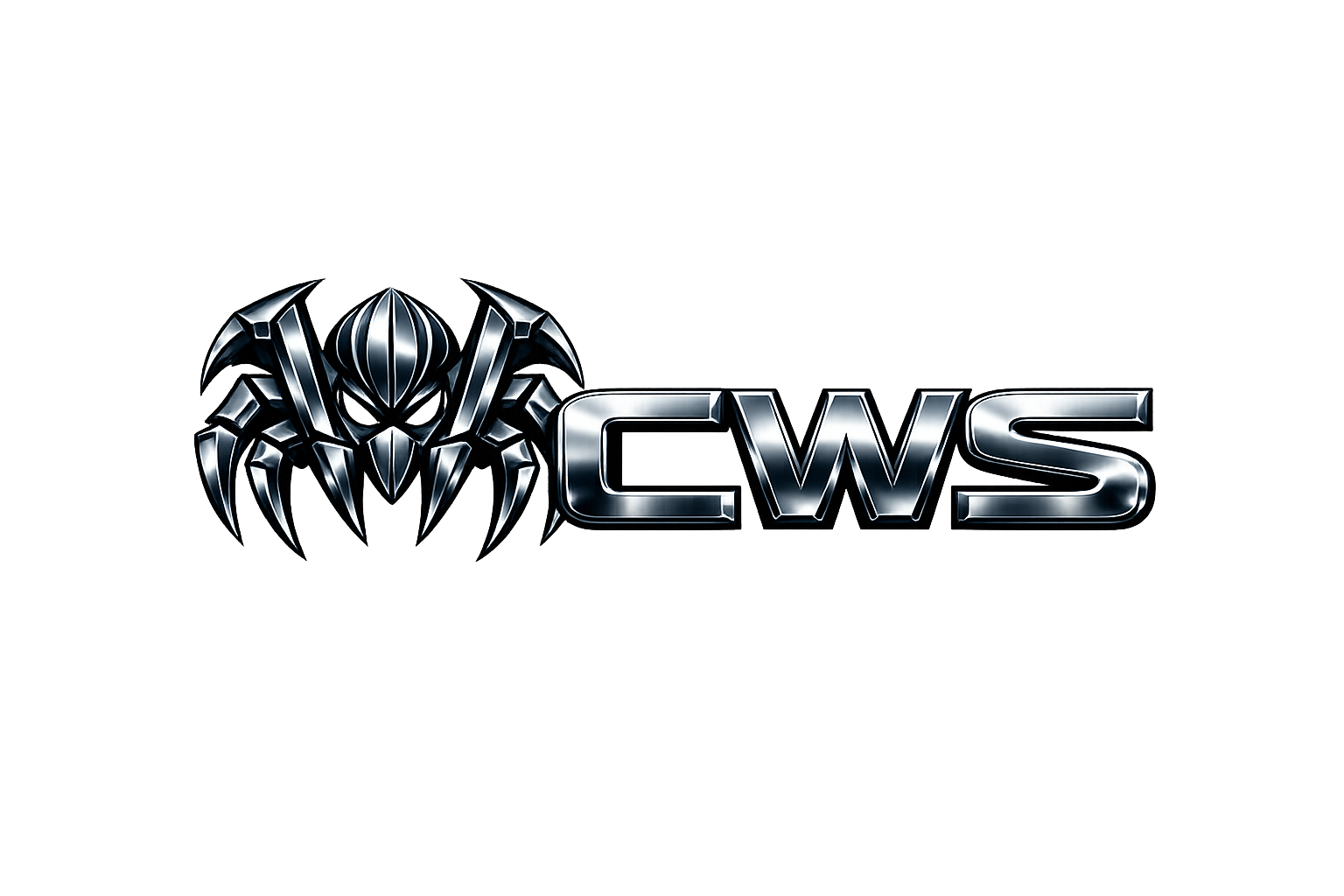 CyberWeb Systems